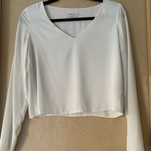 Aritzia Babaton Long Sleeve Blouse